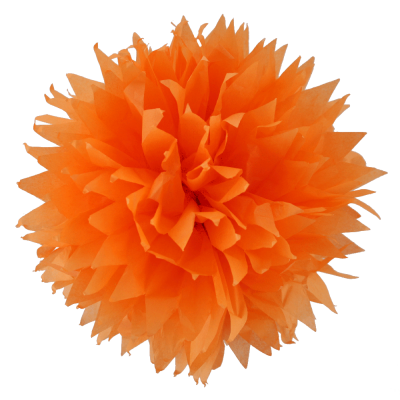 Yüzüklü Ayak Parmak Ayırıcı Makara